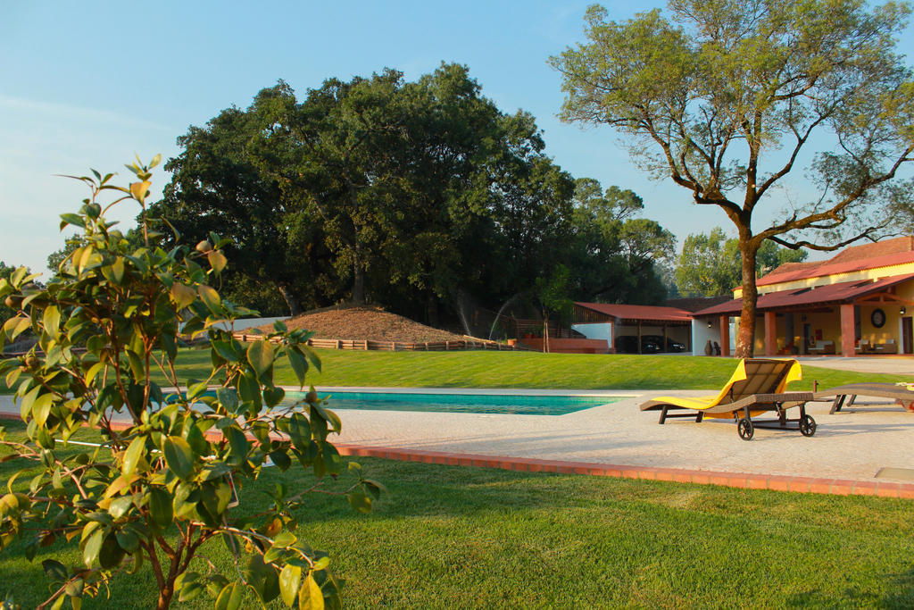 Quinta De Lograssol Villa Mealhada Kültér fotó